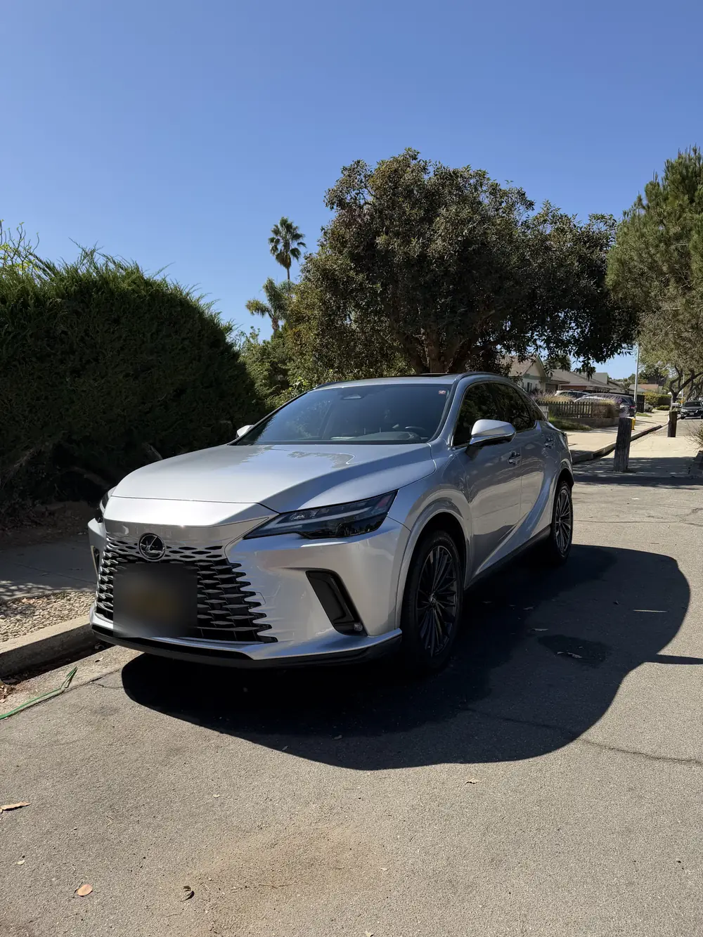 Silver Lexus RX after a full detail